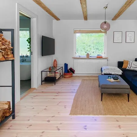 Cozy In Ry With Wifi Feriehus